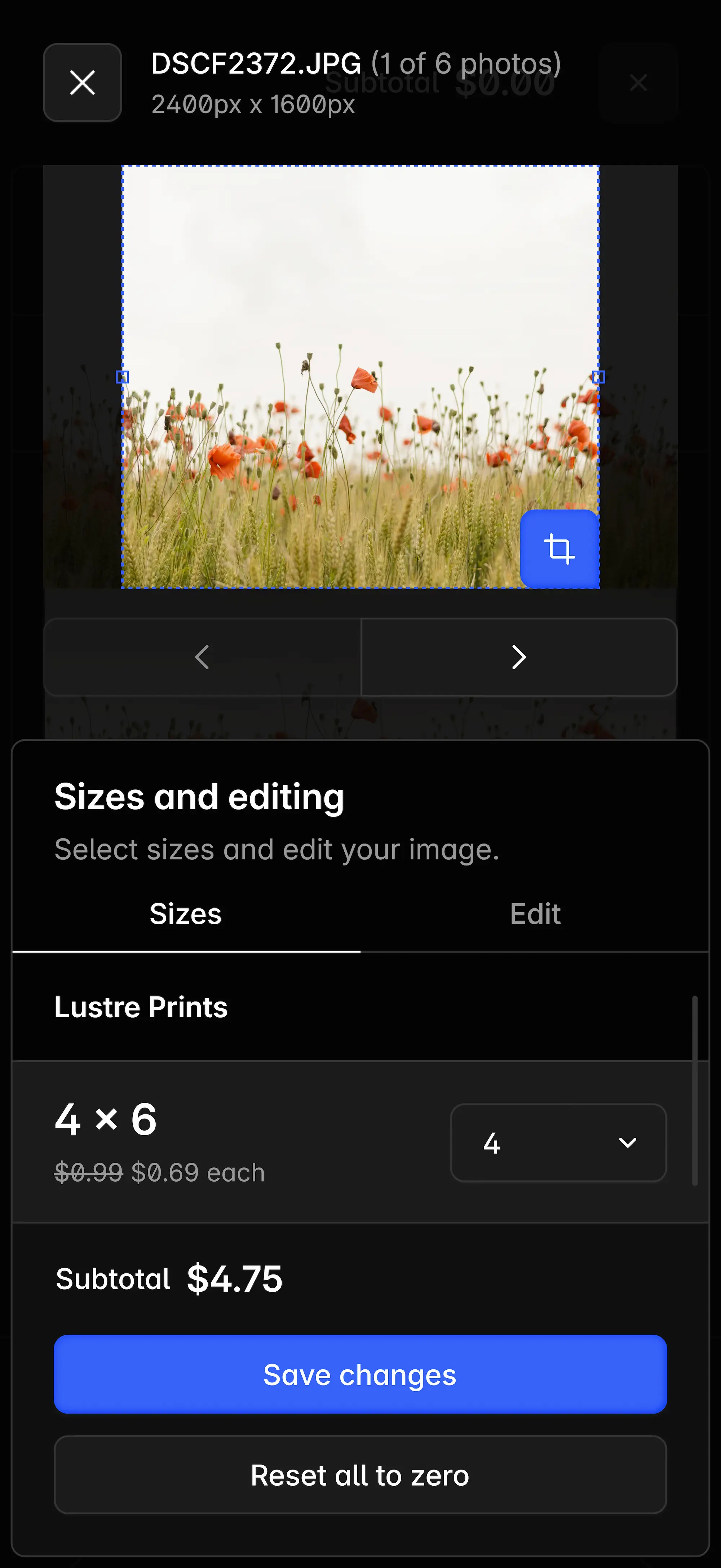 Mobile customer interface